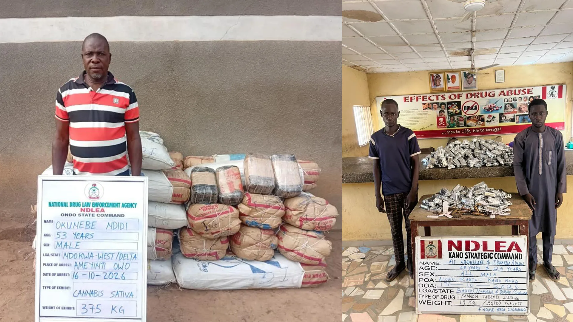 NDLEA intercepts Saudi-bound cannabis in palm oil keg, ₦6.98bn tramadol