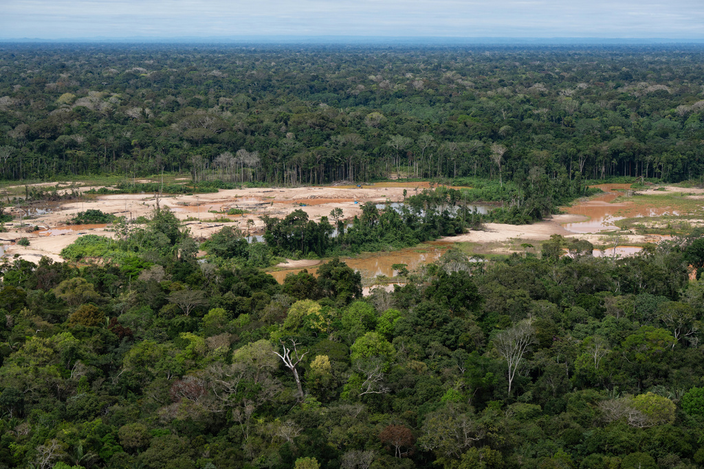 Criminal networks threaten the Amazon. Indigenous leaders want the UN ...