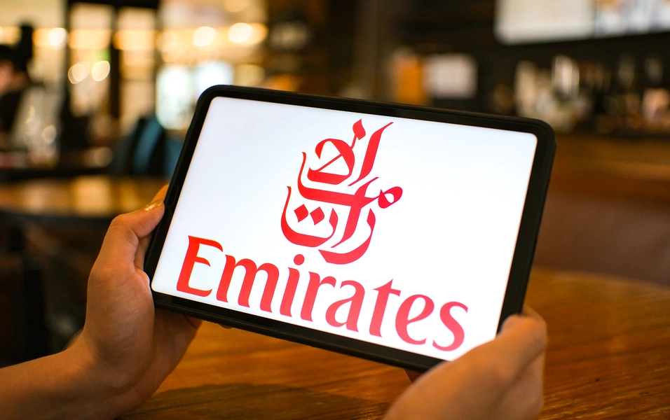 Bird strike delays Delhi-Dubai Emirates flight by over 14 hours