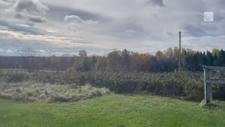 Autumnal views in Maple Grove