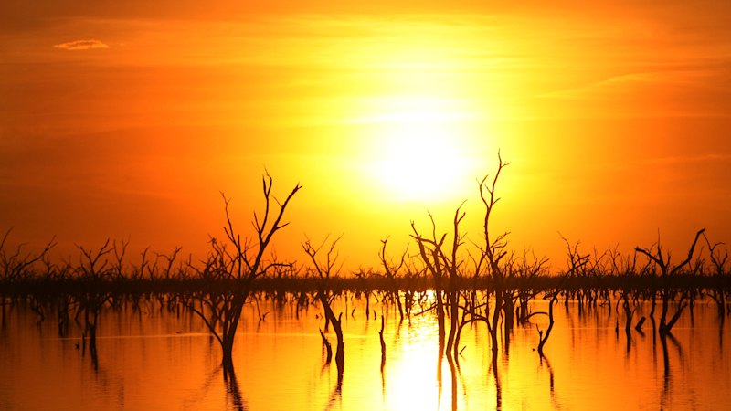 Australia’s workforce is looking at companies at the heart of WA’s ...