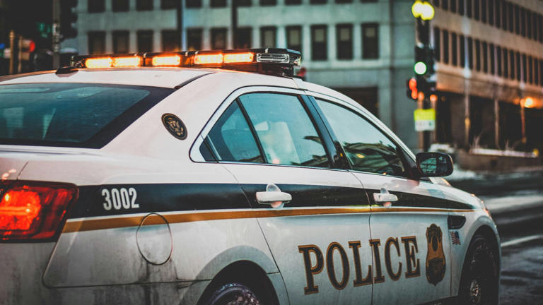 This country definitely has the coolest police cars