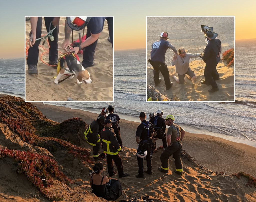 2 adults, 2 dogs rescued off cliffside at San Francisco's Fort Funston