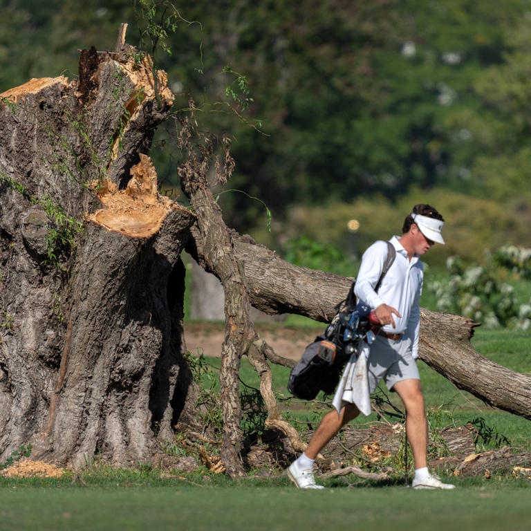 Judge continues to block Trump from cutting down trees at DC golf course