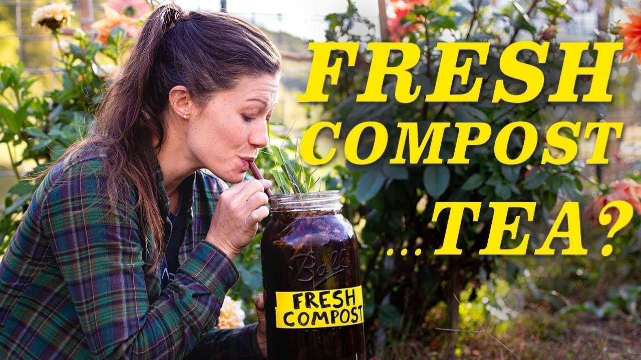 Solve common garden problems with homemade compost tea!