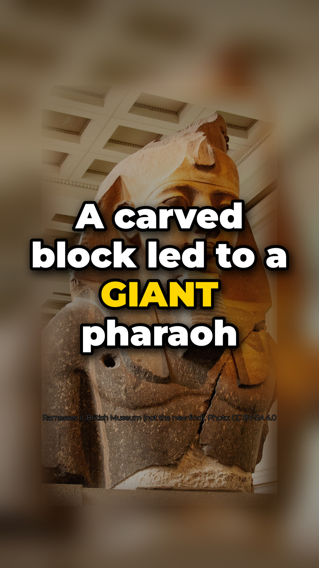 A villager found a giant Ramesses II statue 🏺