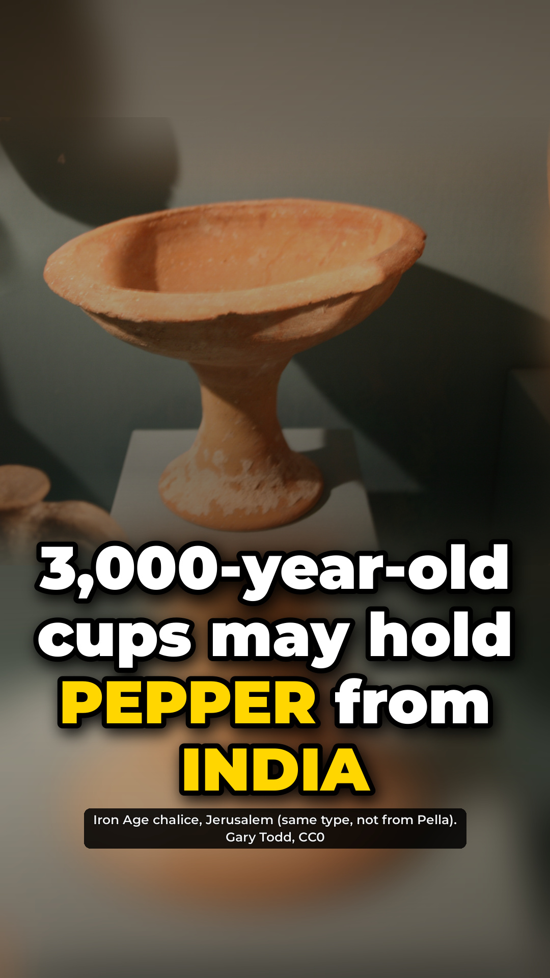 3,000-year-old cups may hold pepper from India 🌶️