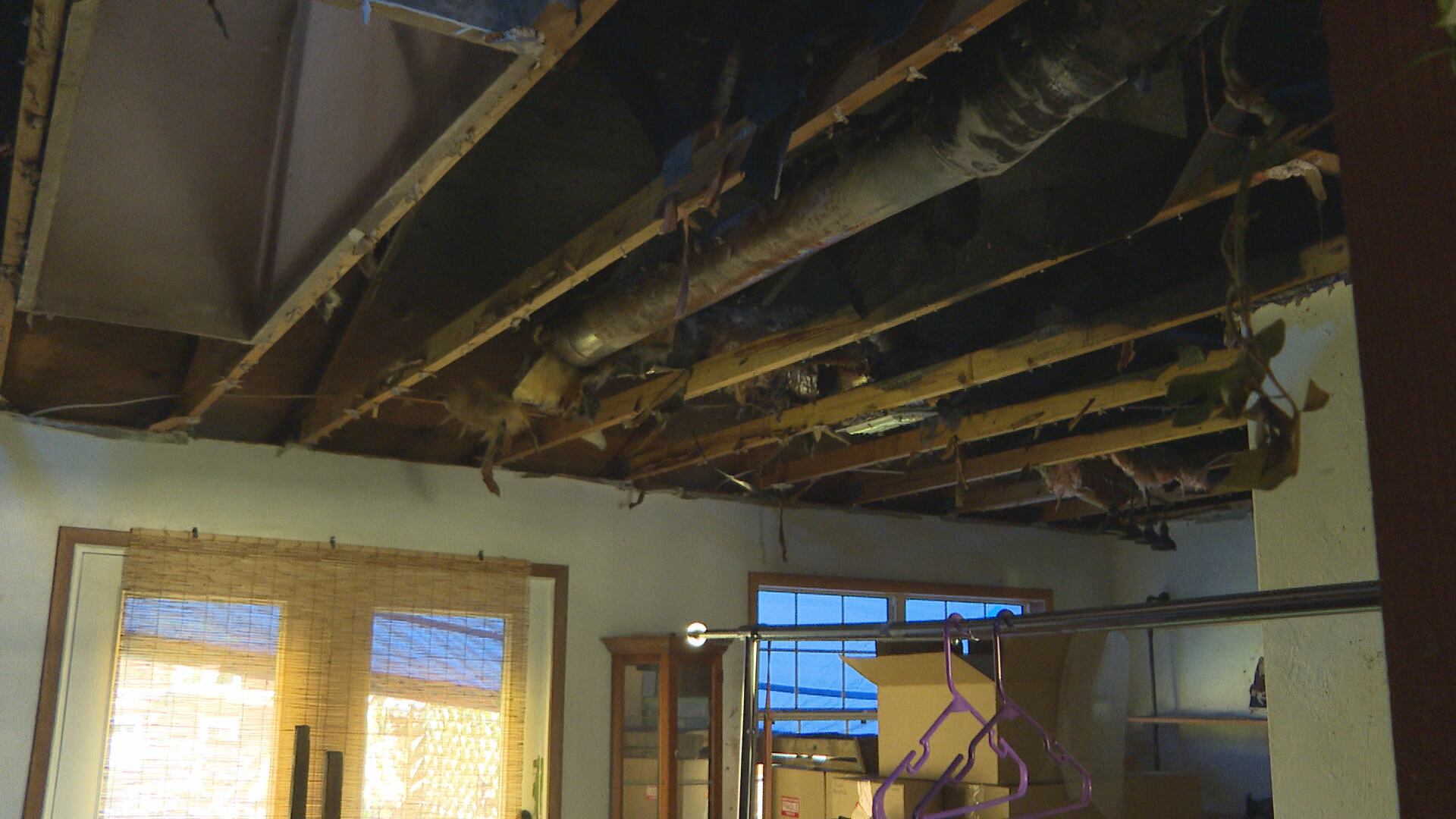 Tallahassee couple loses home after Hurricane Isaias topples tree, sparking fire