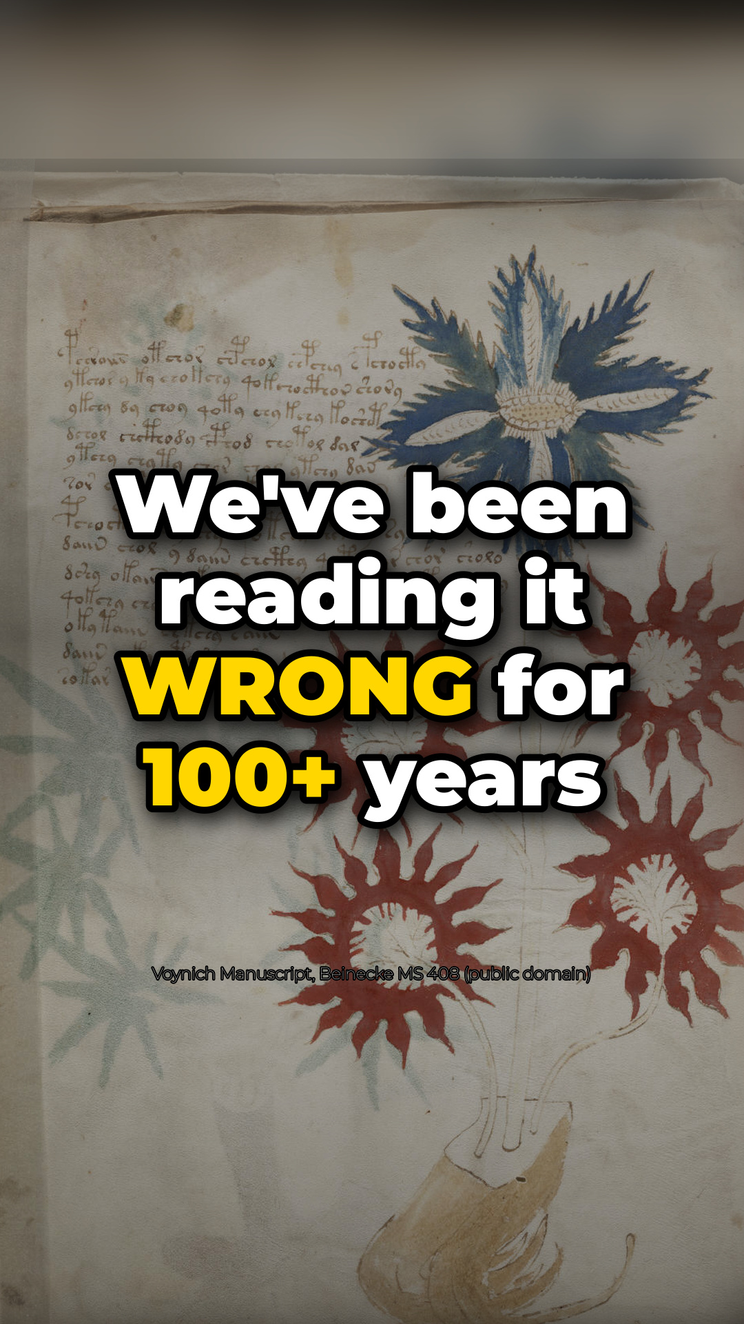 The Voynich manuscript was bound in the wrong order?📜