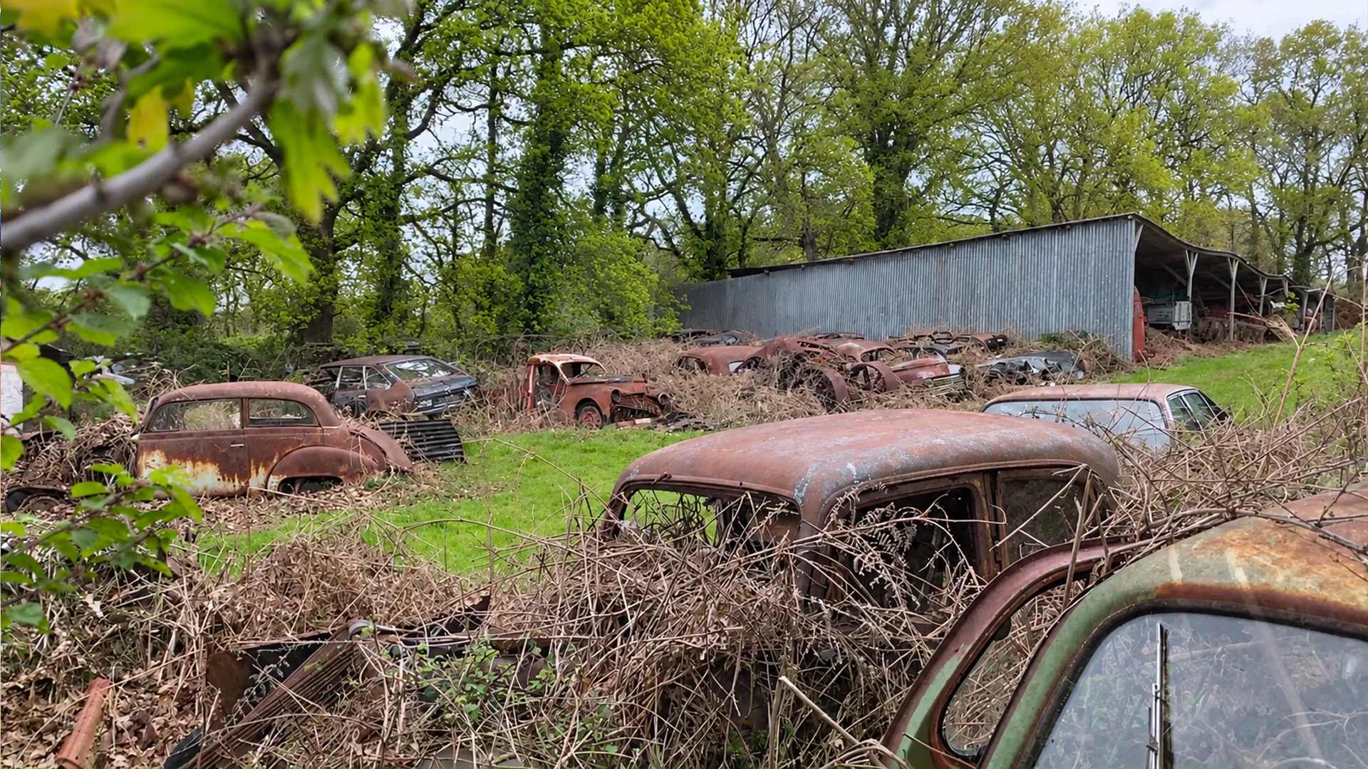Exploring forgotten classic cars before this barn collection disappears