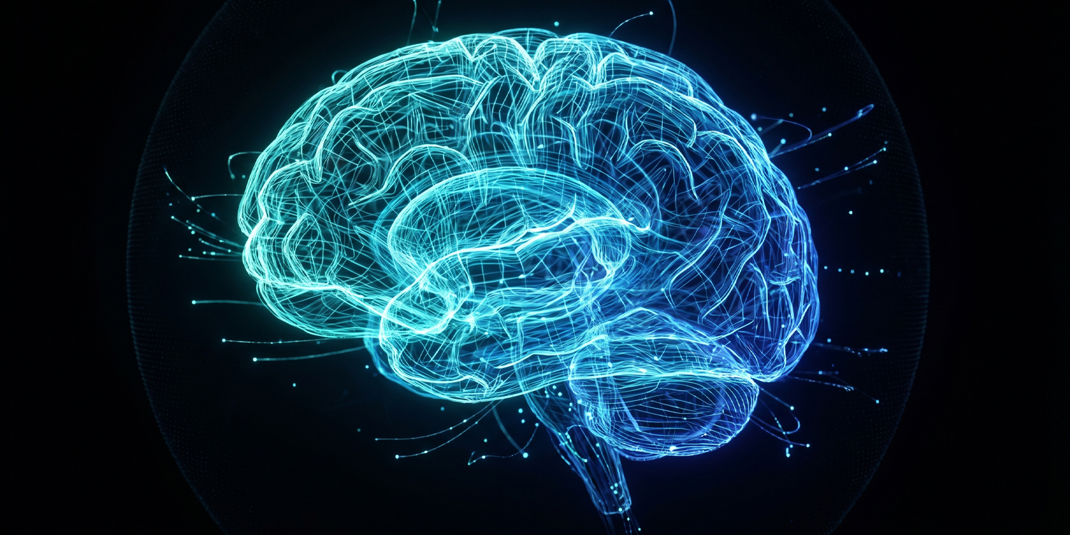 Brain connectivity patterns map onto sensory processing styles in ...