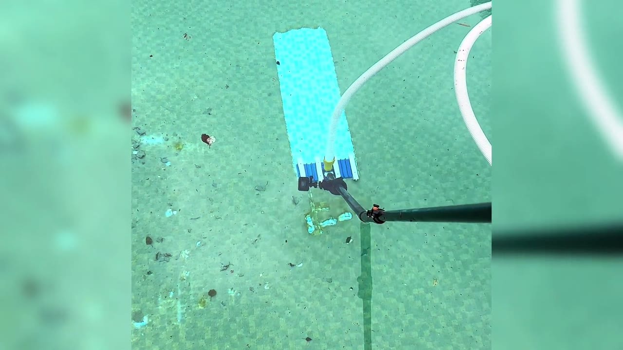 This pool looked green even though the water was clear - then they ...