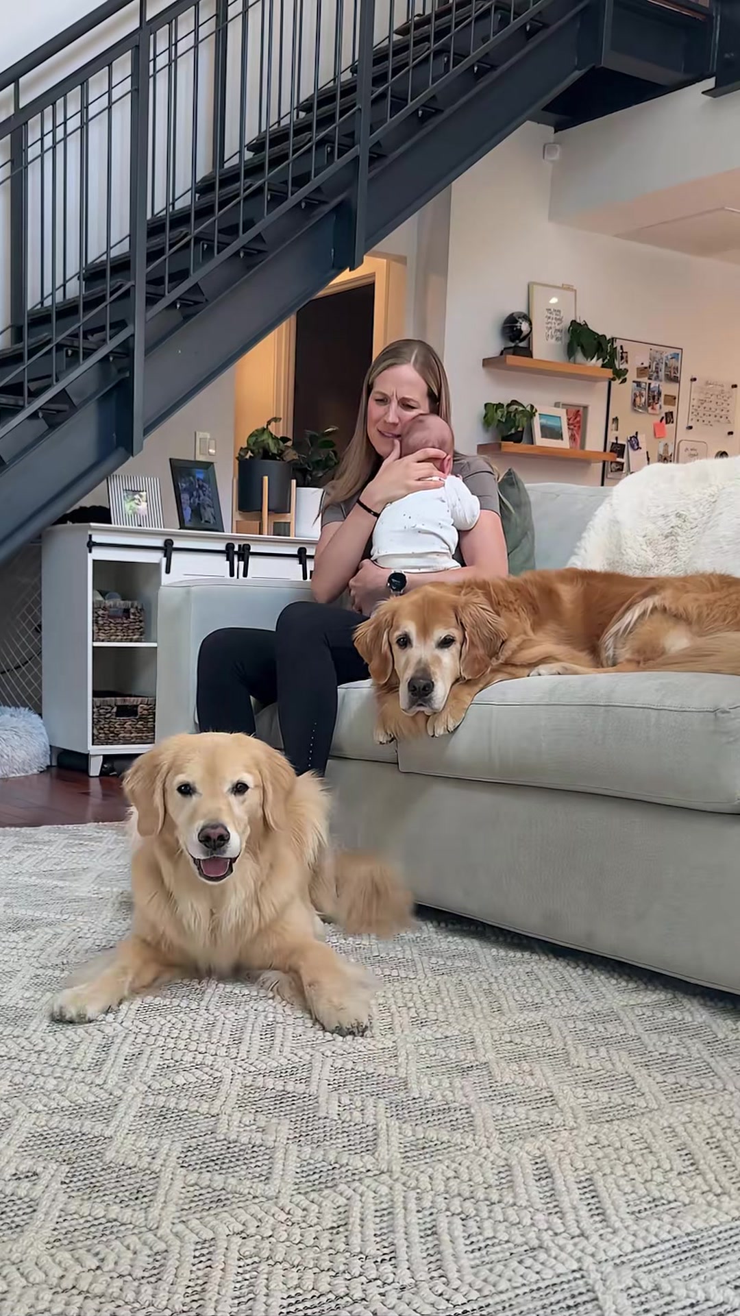A golden retriever reacts to this song so intensely that it had to be ...