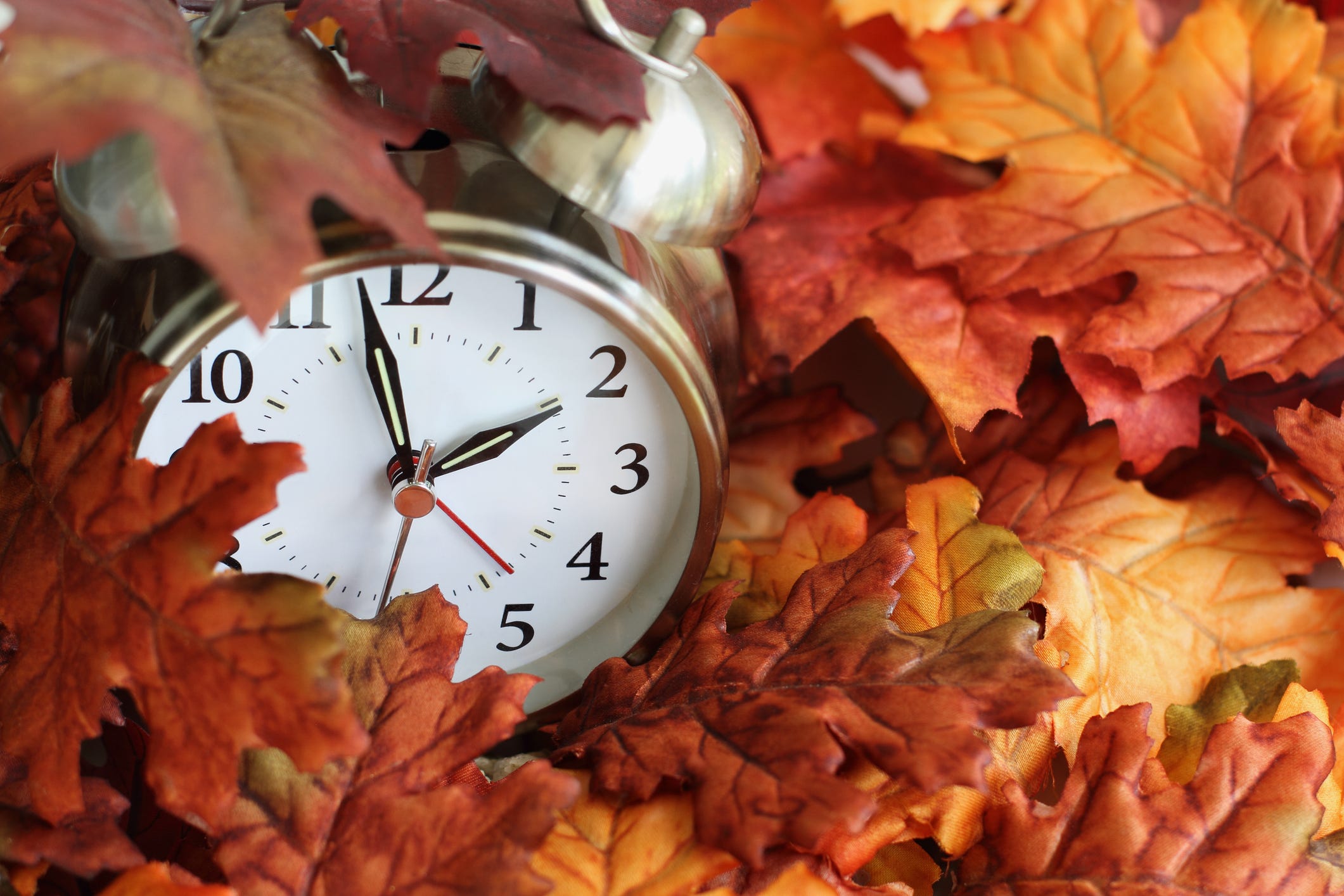 When does the time change? When to fall back for daylight saving time