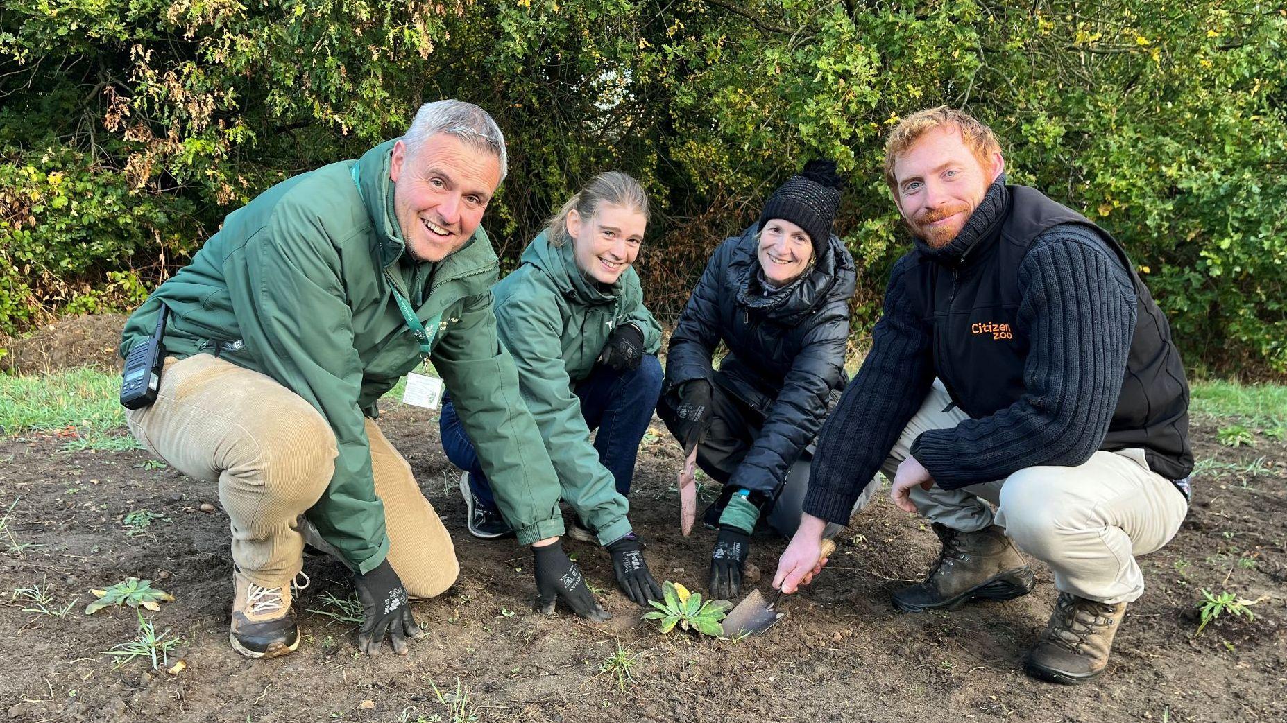 Volunteers help save one of London's rarest plants