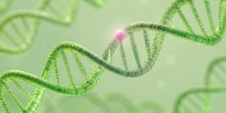What causes bipolar? Part 1: Genes and epigenetics