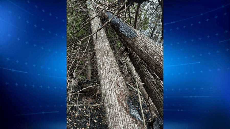 More than 1,400 acres burned by UP wildfires, DNR says