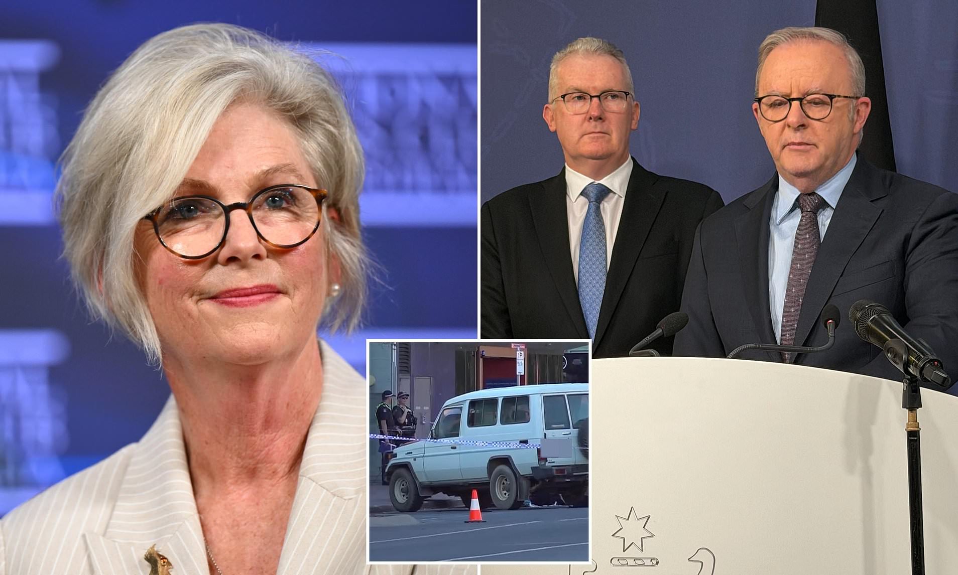 Shaken Anthony Albanese confirms federal MP Helen Haines 'attacked' as ...