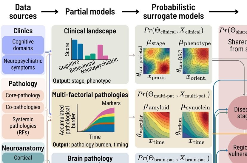 Proposed computer framework could connect Alzheimer's data to guide ...