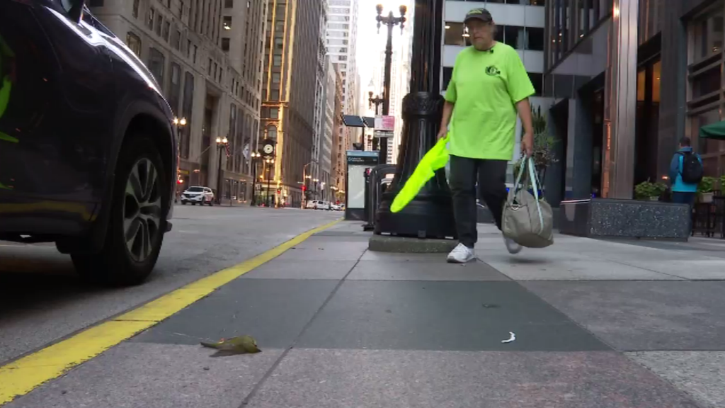 Nearly 1,000 birds died flying into glass in Chicago, Evanston this ...