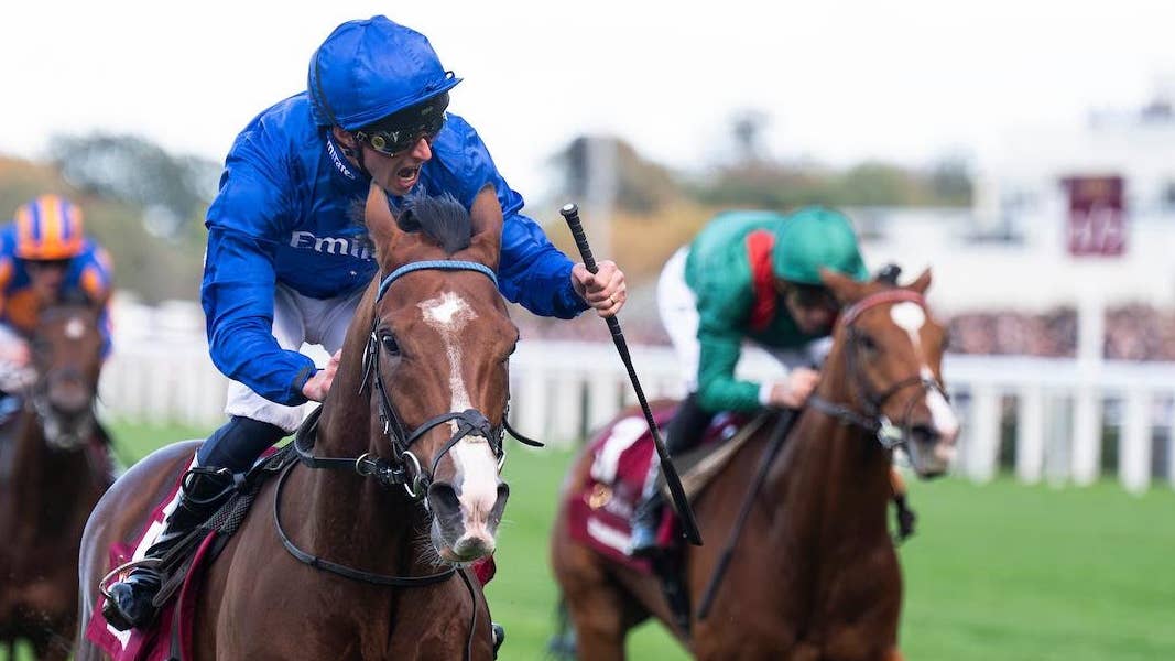 Champion Stakes winner Ombudsman pre-entered for Breeders’ Cup Turf