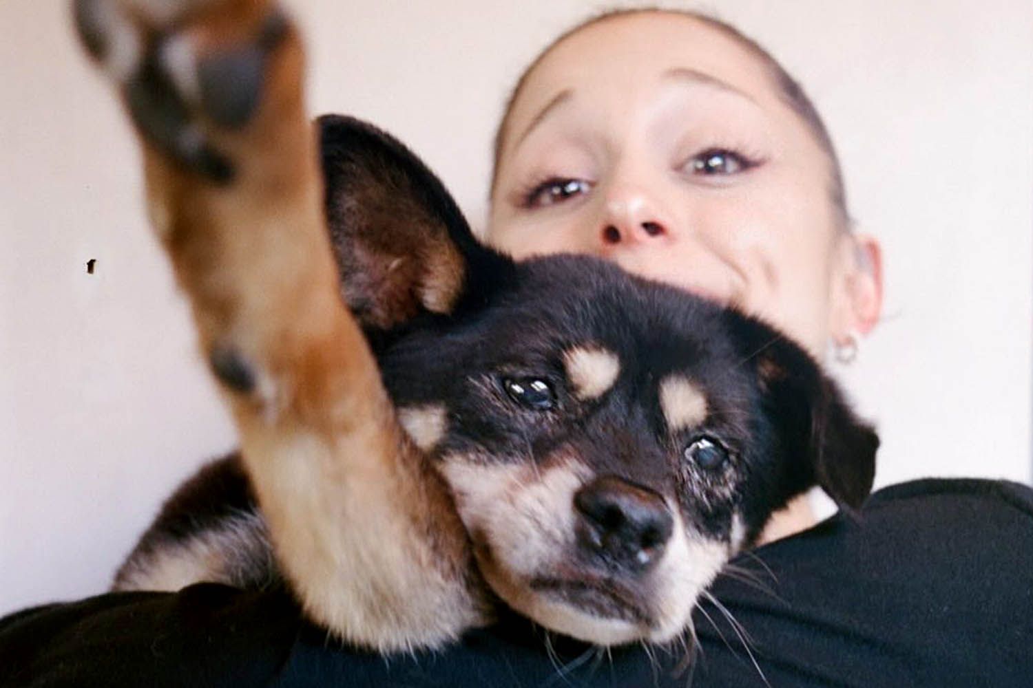 Ariana Grande mourns death of 17-year-old dog Coco amid public hiatus ...