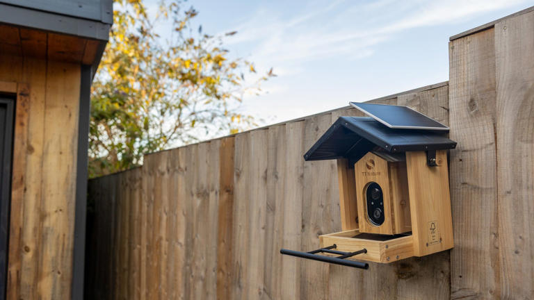 TT Nature bird feeder review: two weeks with the budget wooden smart ...
