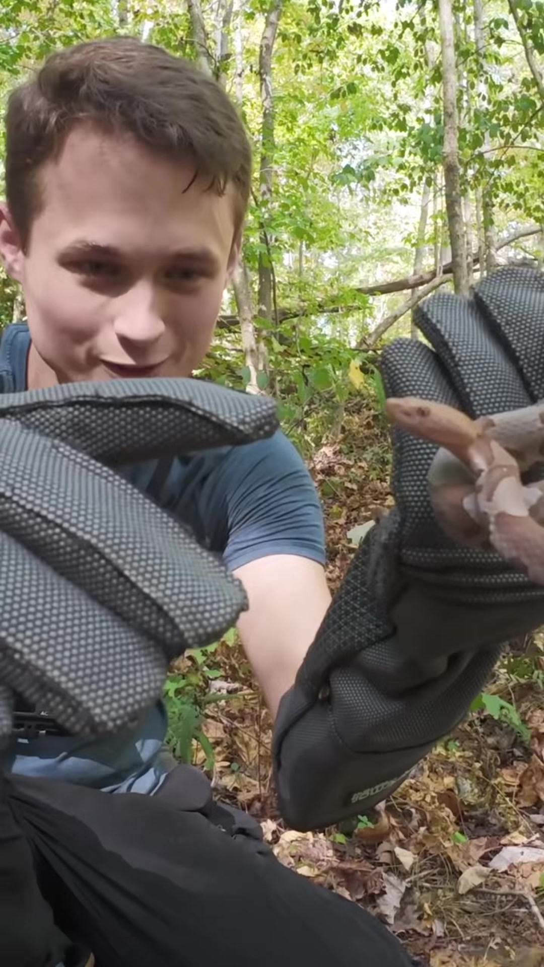 Putting bite-proof gloves to the test against a real copperhead