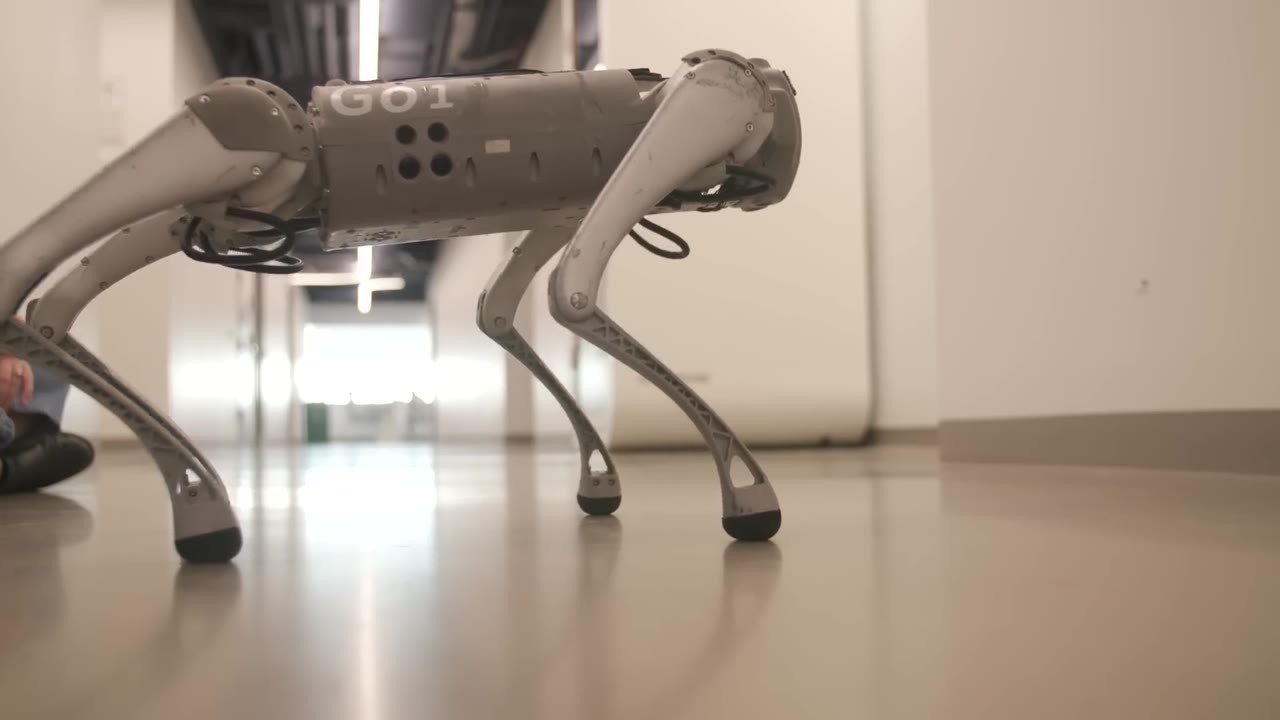 MIT is teaching robot dogs to think with AI - they can now run, climb ...