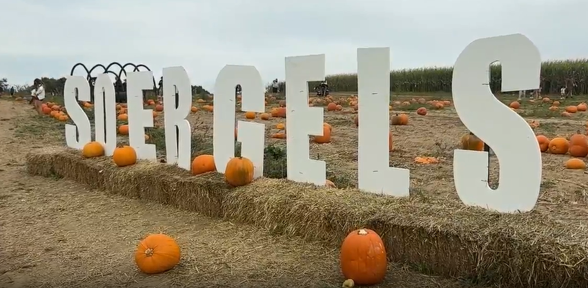Soergel Orchards' fall festival brings family fun to Wexford
