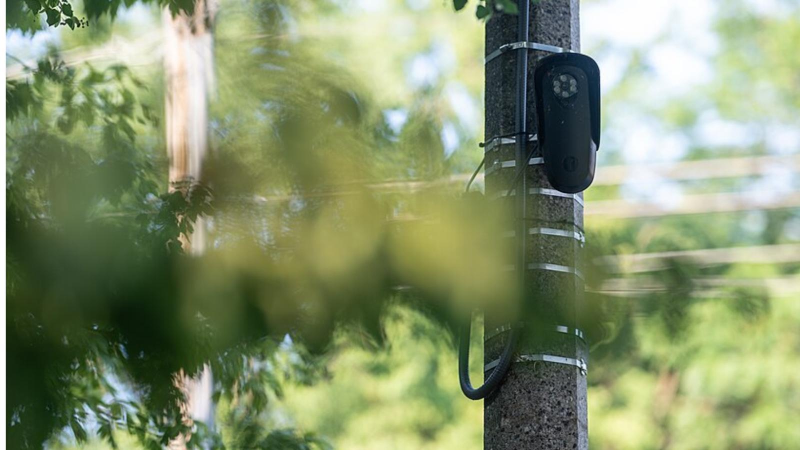 Savannah police officer fired for giving Flock login to ICE agent ...