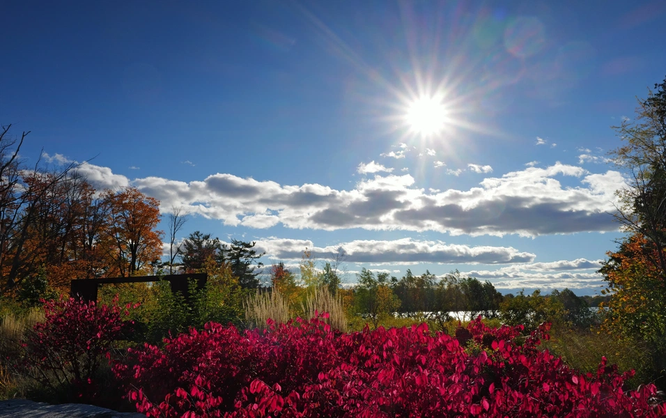 Fall adventures at Ontario’s scenic boardwalk parks