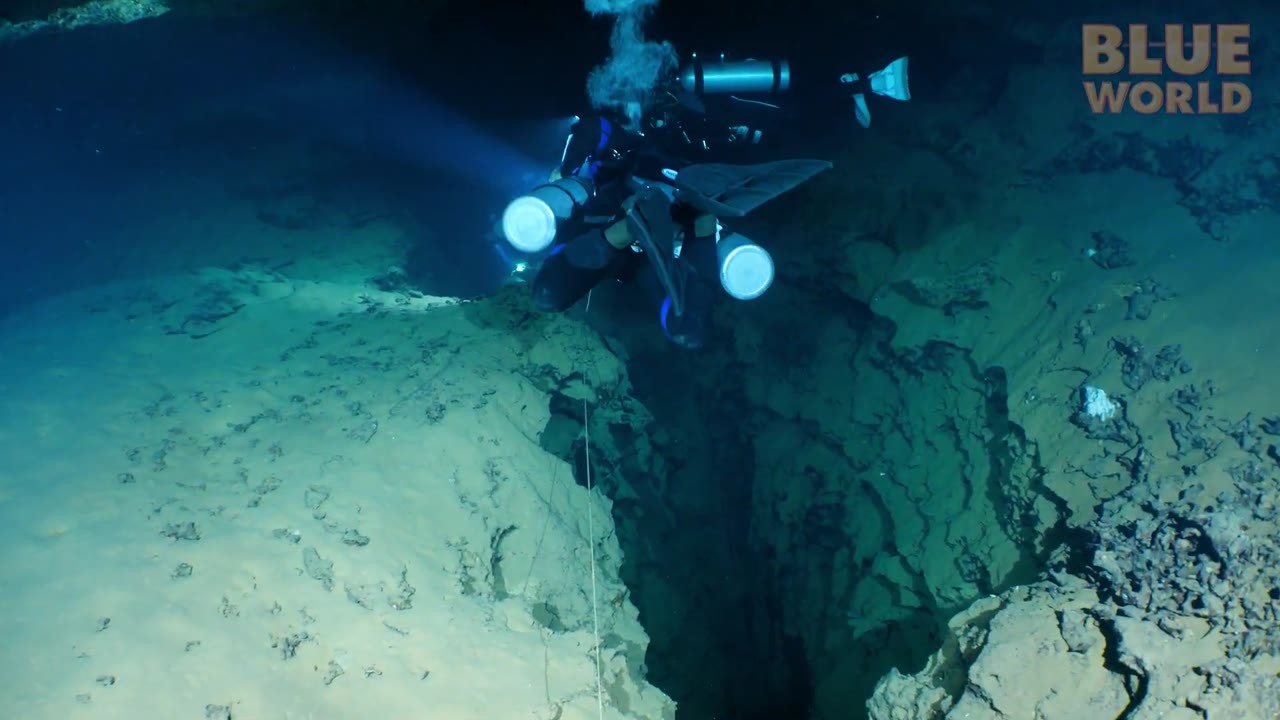 Divers entered a Mexican cave looking for animals unknown to science ...