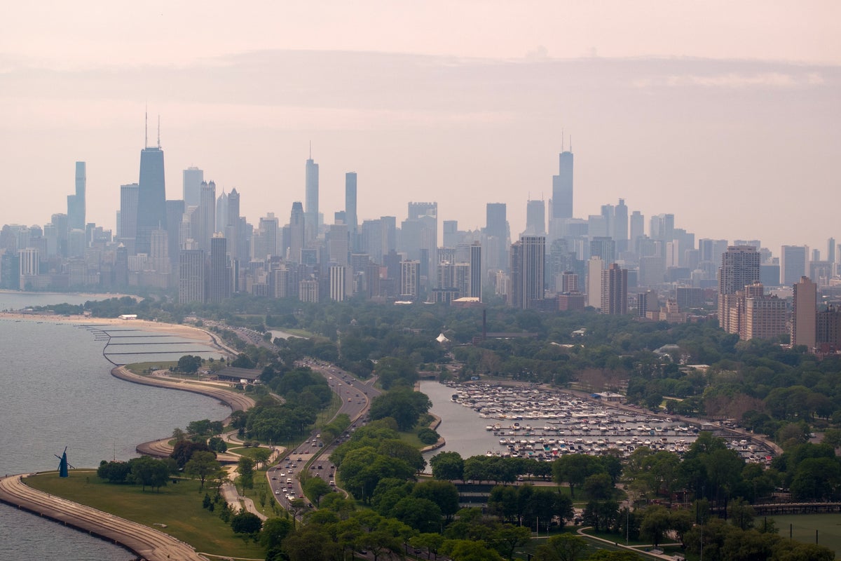 More than 1,000 birds hurt in Chicago after flying into buildings