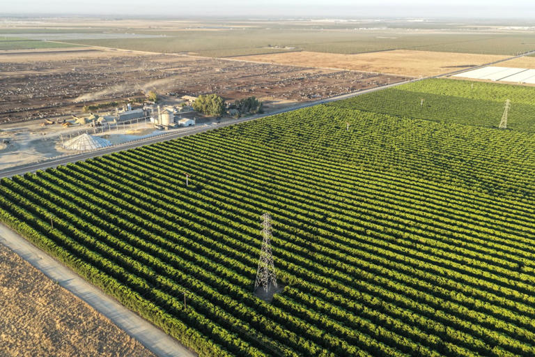 Farms are getting hit by a triple whammy. Food prices could jump more.