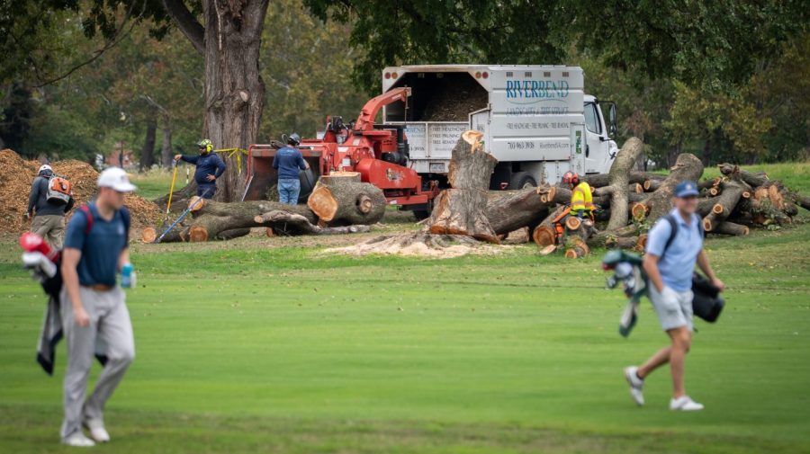 Judge extends tree-cutting block at East Potomac Park