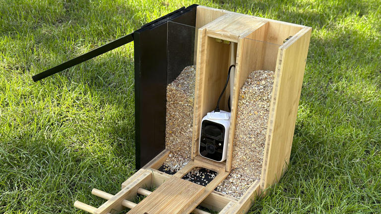 TT Nature bird feeder review: two weeks with the budget wooden smart ...