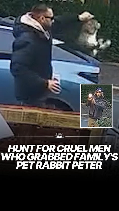 Men film themselves grabbing rabbit by ears and 'stealing' him