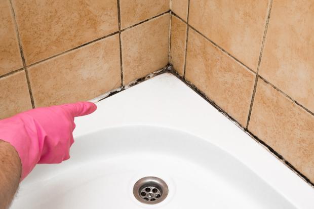 The simple trick that could banish stubborn mould without any scrubbing ...