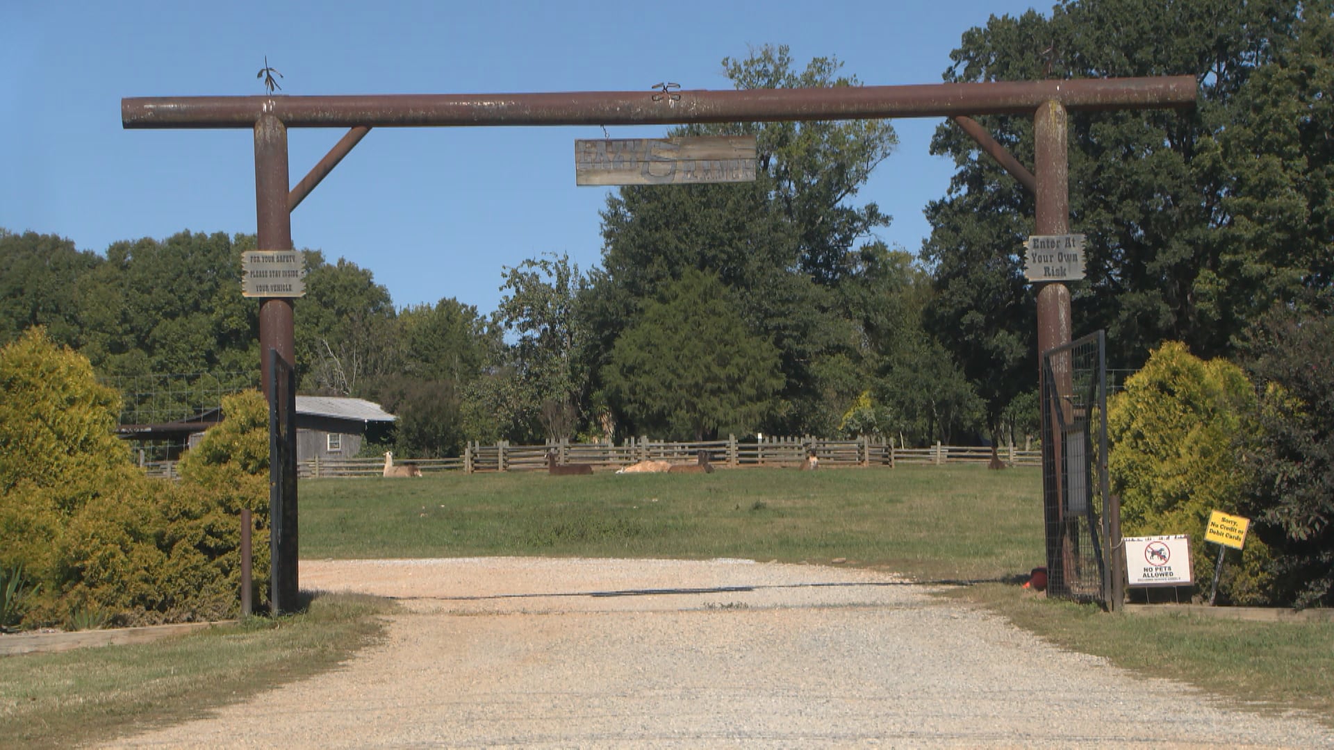 Woman critically injured falling off horse-drawn wagon at Mooresville ...