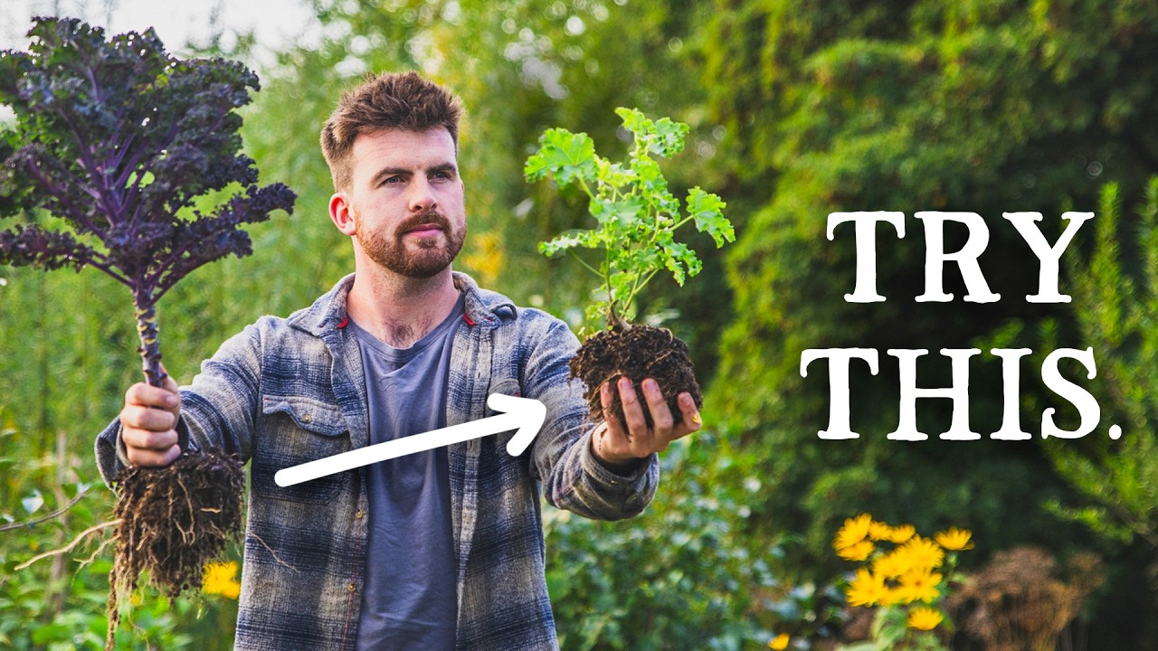 Why I Ignore Companion Planting (& What I Do Instead)