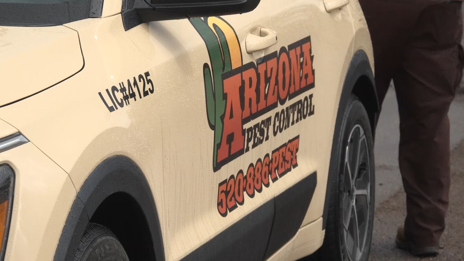 Exterminators see more pests following rain and cooler temperatures