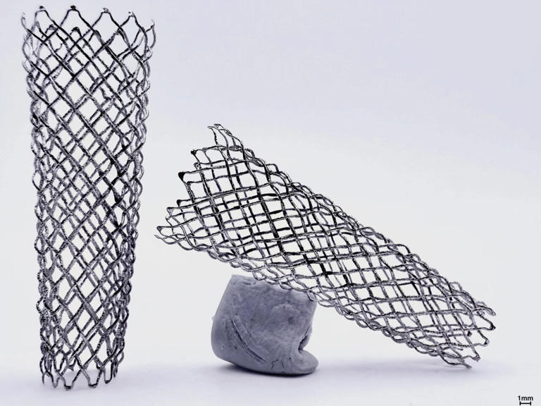 3D printing method could expand options for personalized cardiovascular ...