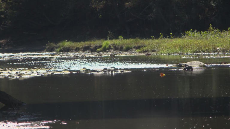 ‘First and foremost, this is a safety concern’: Environmental expert ...