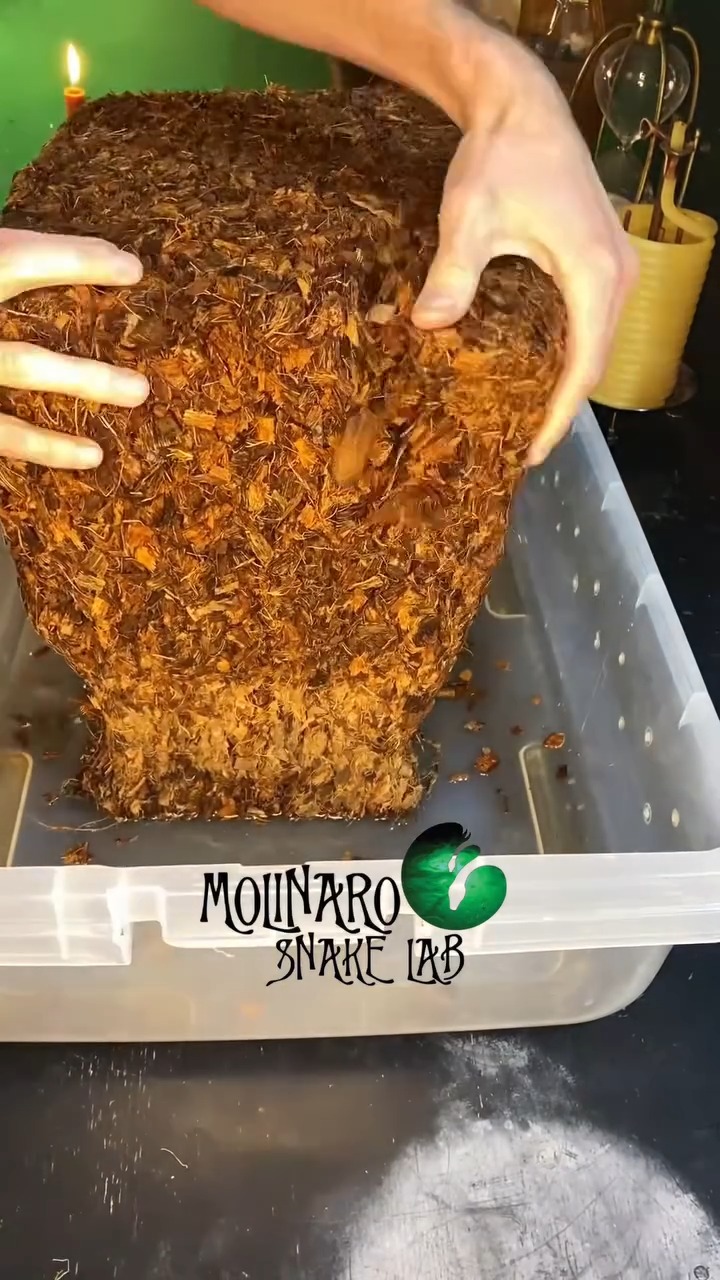 Let's prepare a substrate!