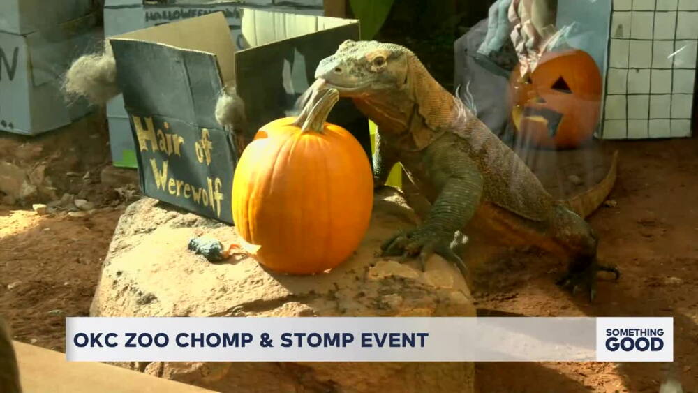 OKC Zoo celebrates fall with annual stomp and chomp