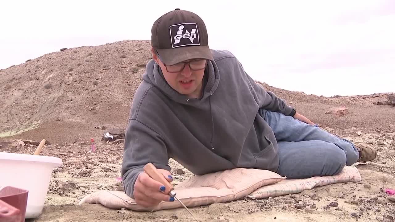 4 different kinds of dinosaur: A new discovery in southeastern Utah