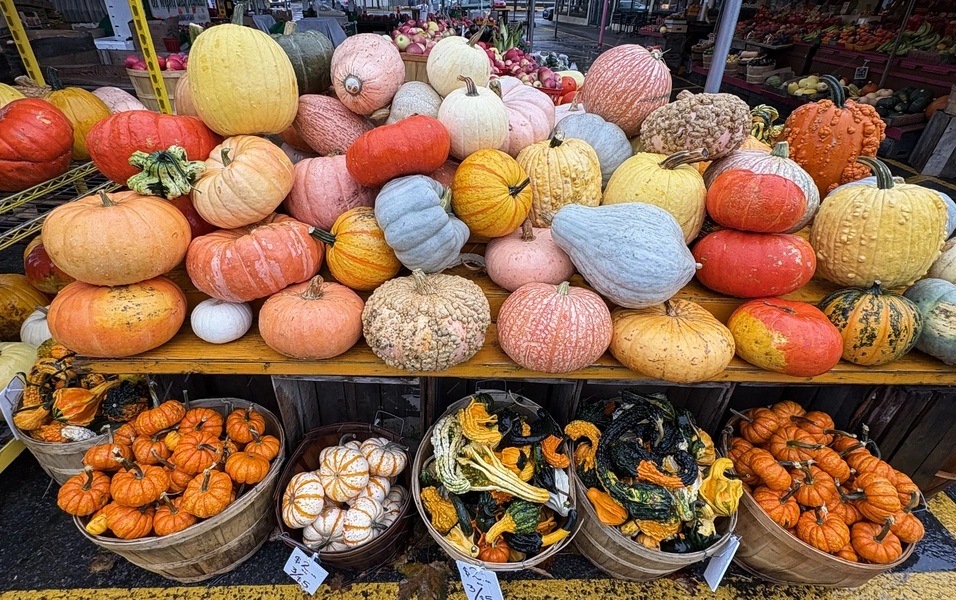 October brings wave of new seasonal recipes and food trends