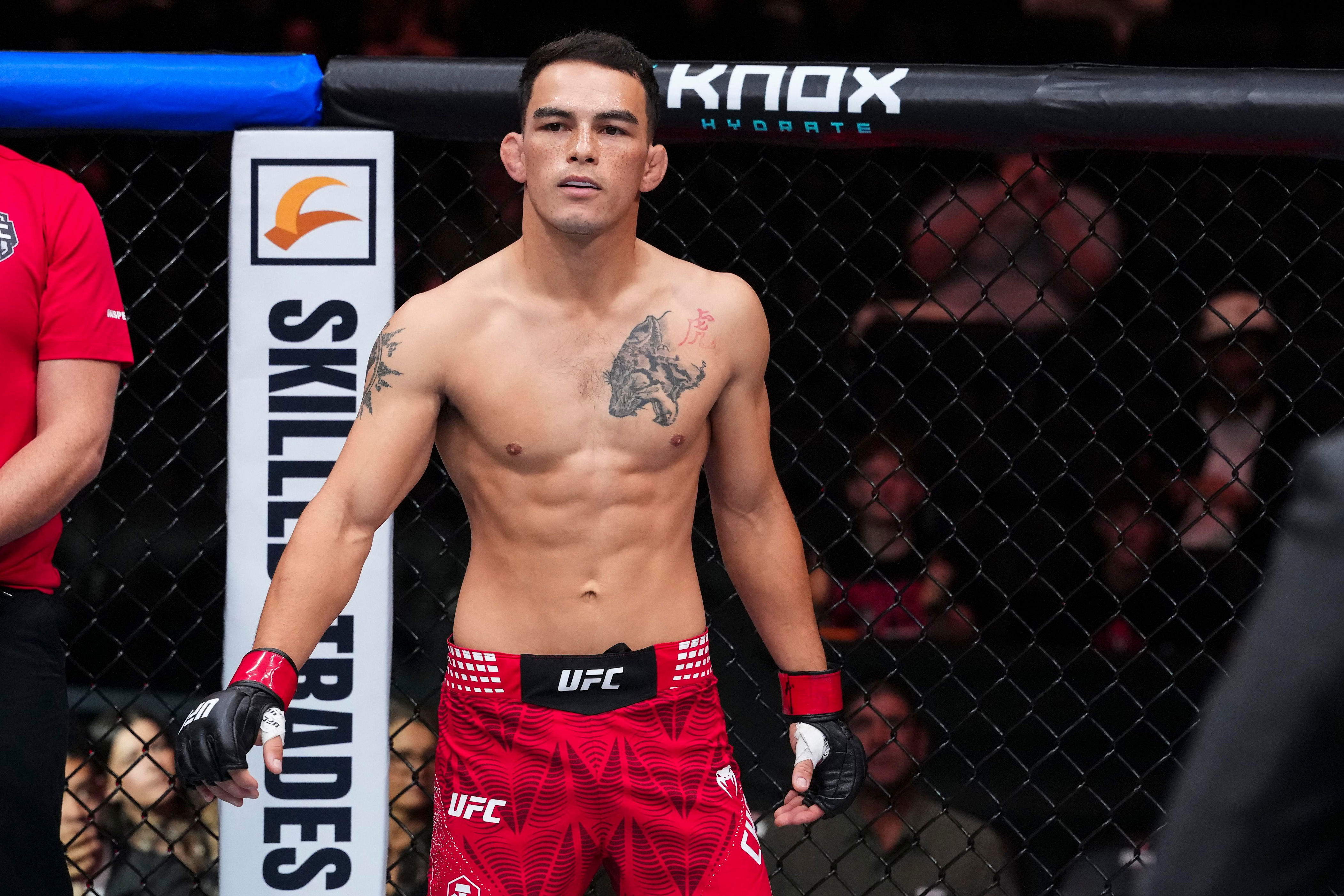 Rookie report card: Grading all Octagon newcomers UFC Edmonton post-mortem