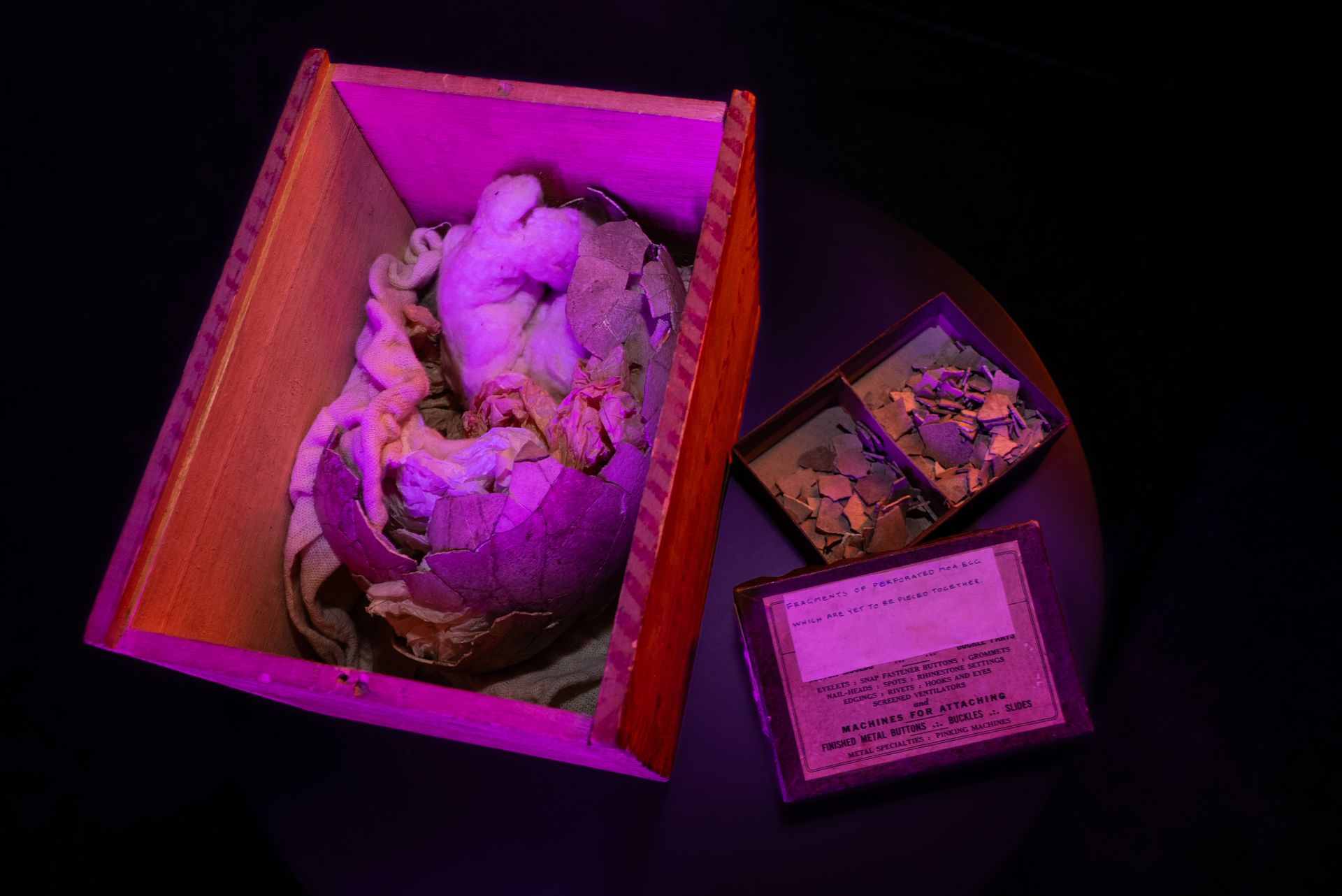 Lord of the Rings director Peter Jackson secures rare egg from extinct ...